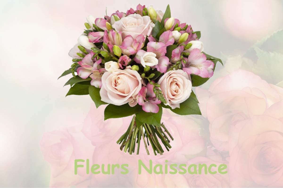 fleurs naissance PIBRAC