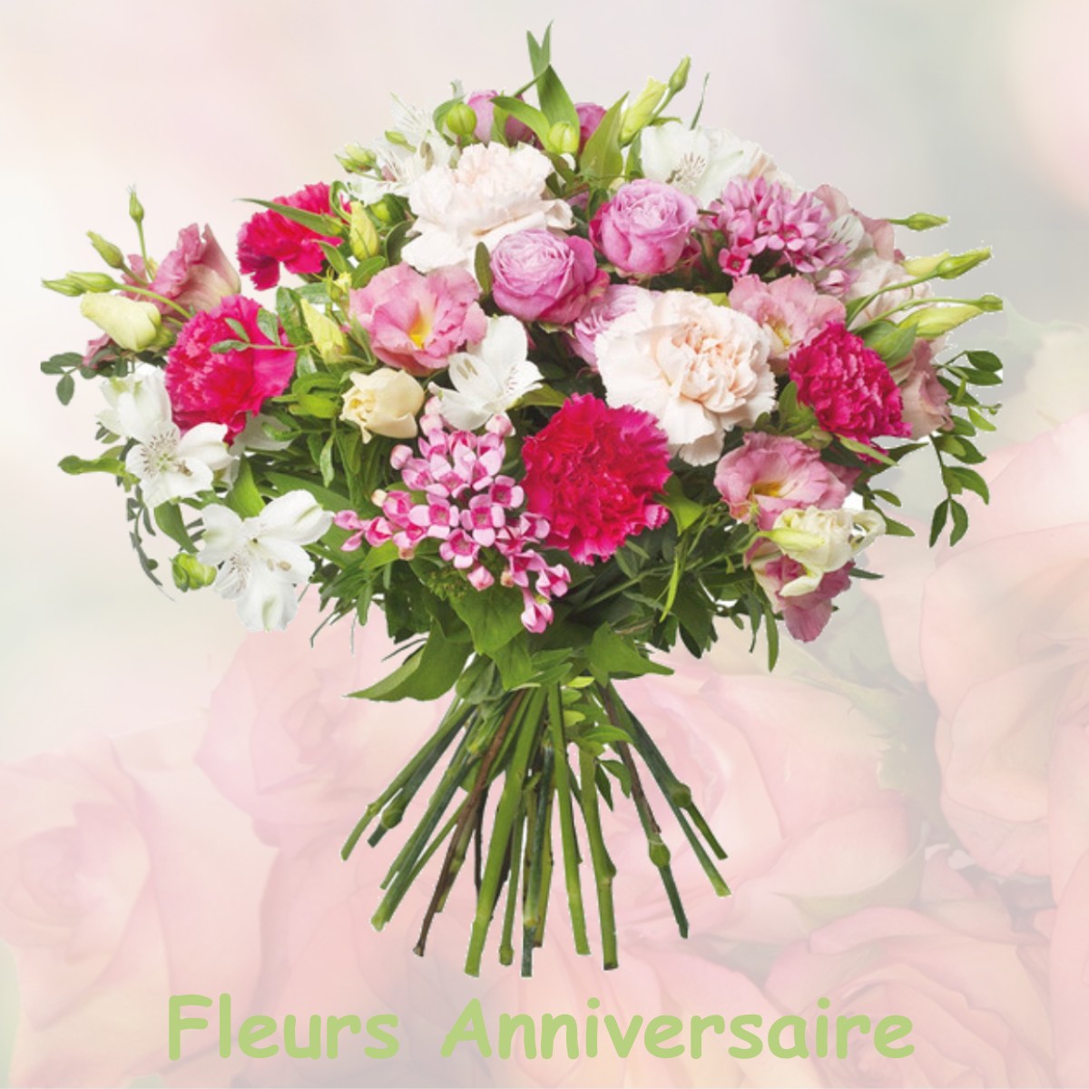 fleurs anniversaire PIBRAC