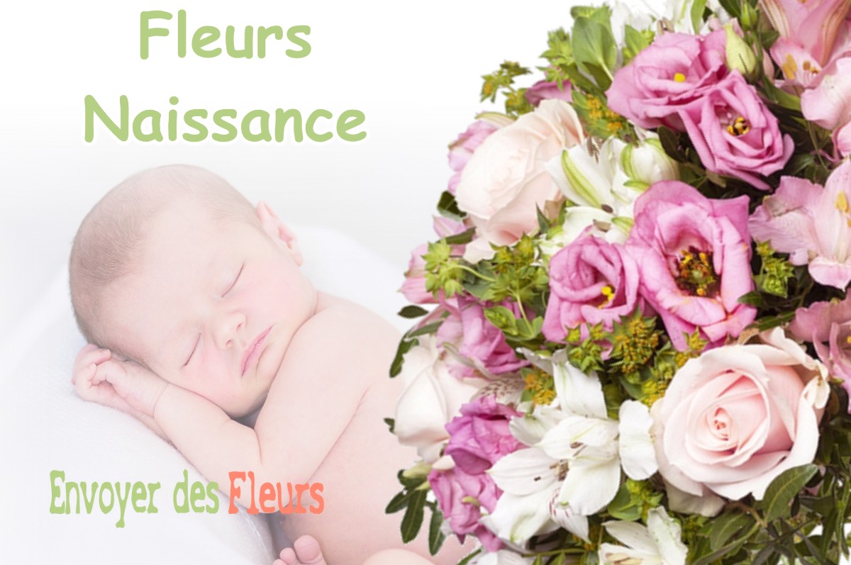 lIVRAISON FLEURS NAISSANCE à PIBRAC